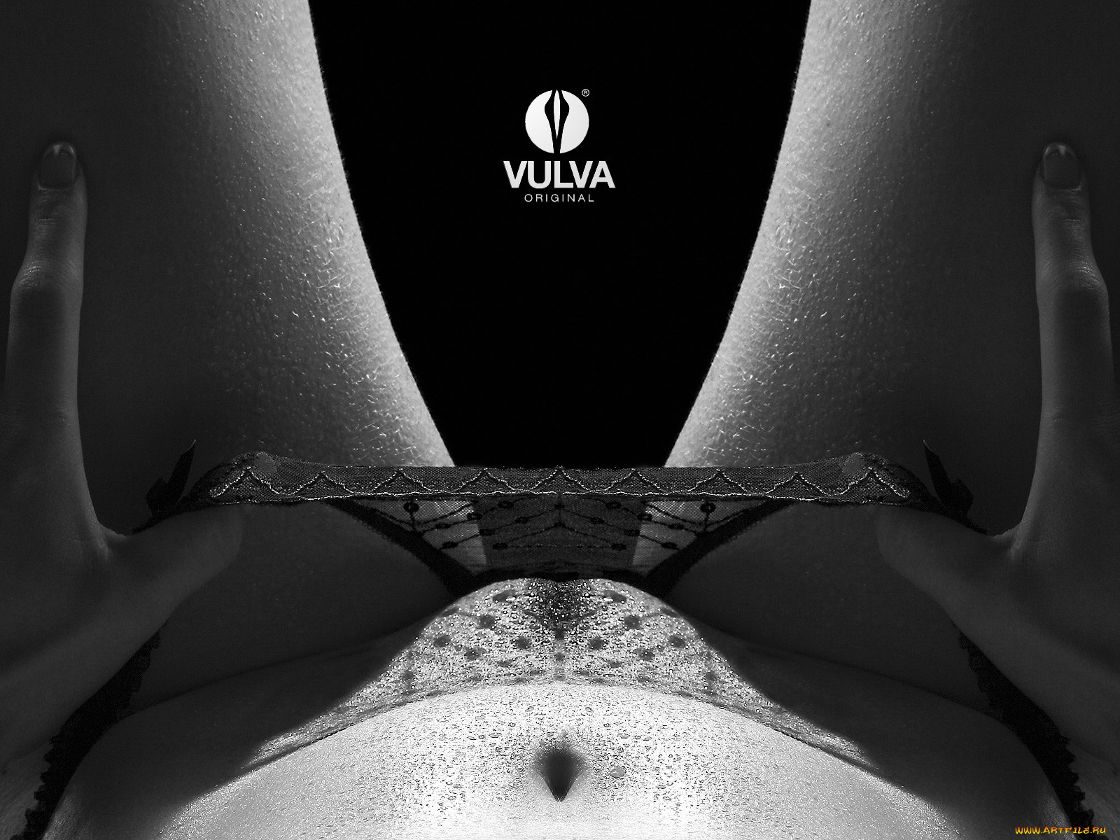 vulva, original, 